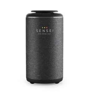 Car Diffuser Rechargeable