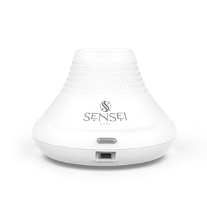 Mino